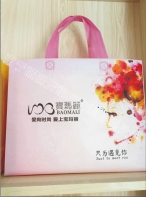 寶瑪麗
